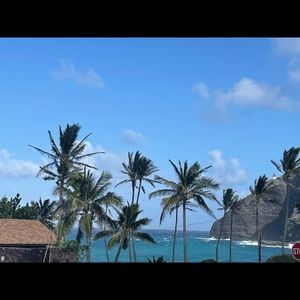 Meet your Posher, Xzoviera